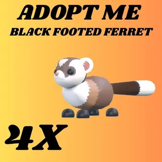 BLACK FOOTED FERRET 4X - ADOPT ME 