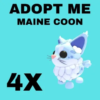 MAINE COON 4X - ADOPT ME 