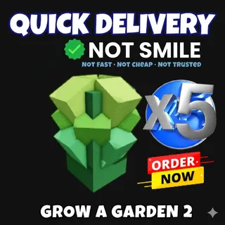 5x romanesco seeds | Fast Delivery