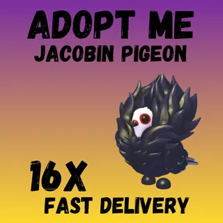16X ACOBIN PIGEON ADOPT -  ME 