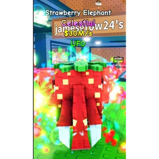 Strawberry Elephant 30M/S 