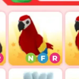 NFR PARROT