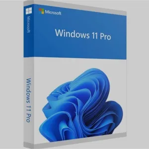 Windows 11 pro