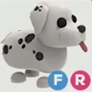 FR Dalmatian