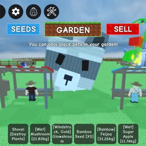 Huge Racoon GAG 36KG