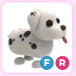 Dalmatian