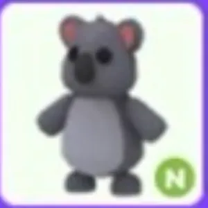 N koala