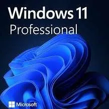 Windows 11 Pro