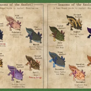 Full 12 Axolotl Set