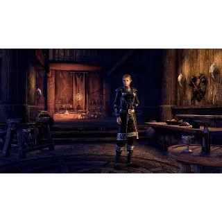 The Elder Scrolls Online - Morthal Jarl Finery Costume