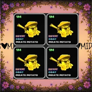 🥔🛕Egypt 1m potato 4 pack🛕🥔