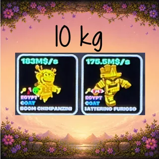 🛕10kg Egypt duo🛕