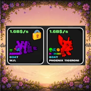 💜WL/Phoenix rainbow duo💜