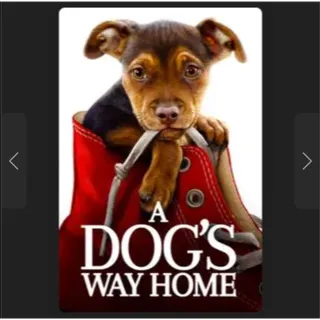 A Dog's Way Home HD Movies Anywhere