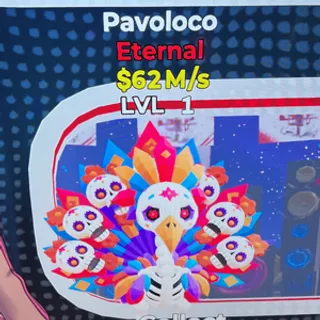 Pavoloco