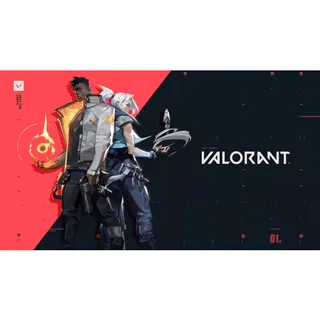 $25.00 USD Valorant Riot Points