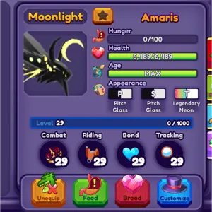 Amaris Dragon Adventures