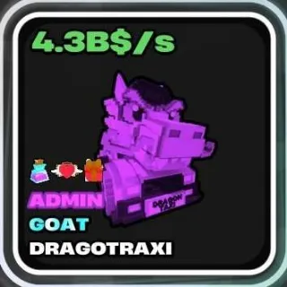 Drago Admin 36kg