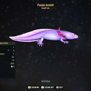 Purple Axolotl (May)