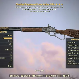 BE25 Lever Action Rifle