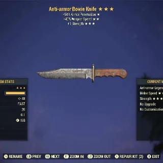 Weapon | AASS1S Bowie Knife