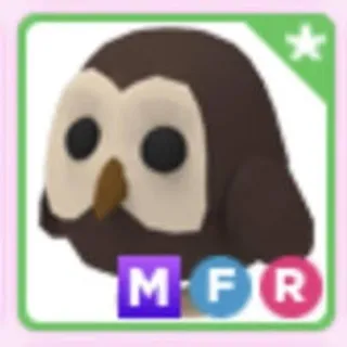 MFR Owl