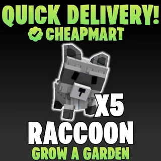 Raccoon