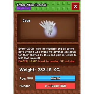 Ember albino peacock 