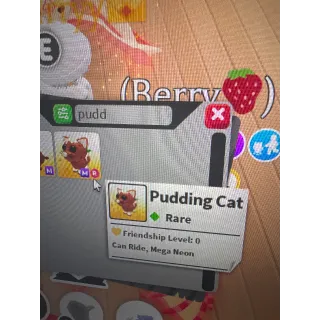 Mega ride pudding cat