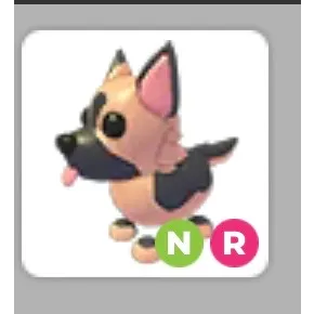NR german shepherd 