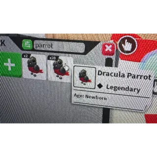 Dracula parrot x16