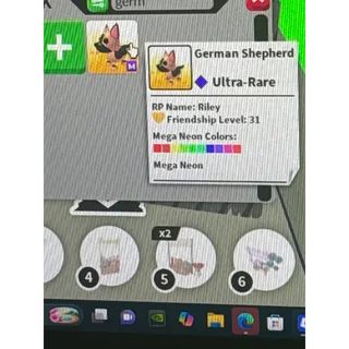 Mega german shepherd 