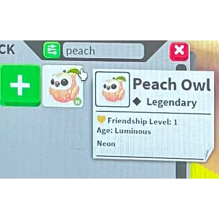 Neon peach owl