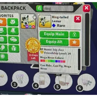 Mfr ring-tailed Lemur