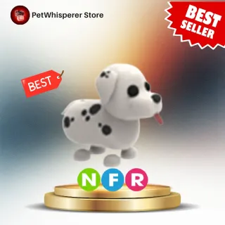 NFR DALMATIAN