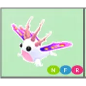 NFR Sea Slug