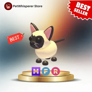 MFR Siamese Cat
