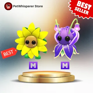 Mega Sunflower & Mega Violet