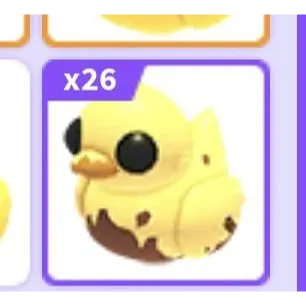 16x DIRTY DUCKY 