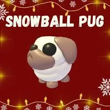SNOWBALL PUG