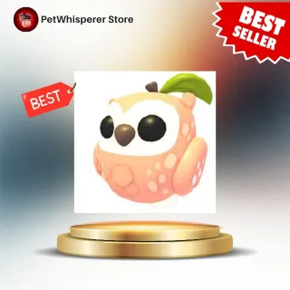 NEON PEACH OWL
