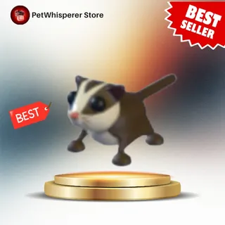 SUGAR GLIDER