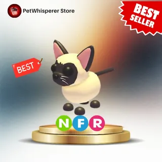 NFR Siamese Cat