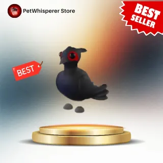 4x Black Chested Pheasant