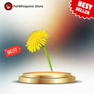 20X GOLDEN DANDELION