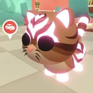 4x Catte