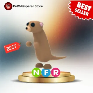 NFR MEERKAT