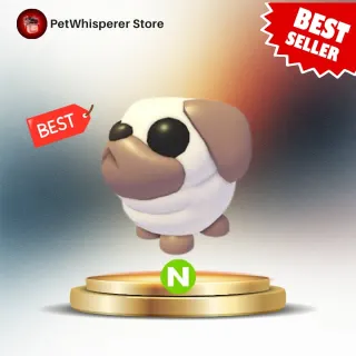 NEON SNOWBALL PUG
