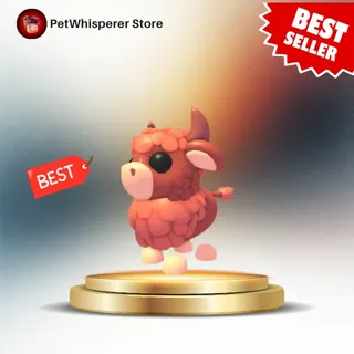 ANGUS BULL