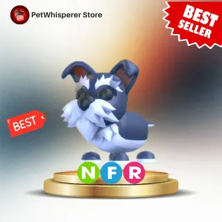 NFR Mini Schnauzer